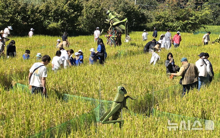 [완주=뉴시스] 김얼 기자 = 제14회 완주와일드&로컬푸드축제가 개막한 2일 전북 완주군 고산자연휴양림을 찾은 시민들이 메뚜기 잡기 체험을 하고 있다. 2026.10.02. pmkeul@newsis.com