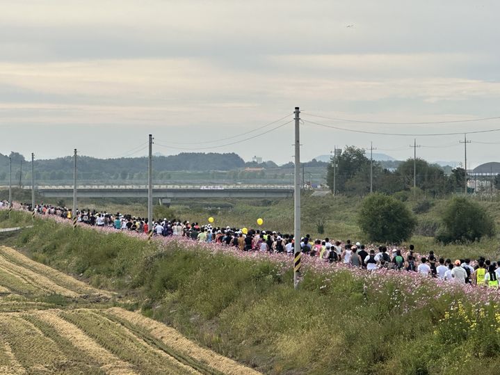 [서산=뉴시스] 3일 충남 서산 양대동 일원 천수만 A지구에서 열린 '서산 코스모스 황금들녘 마라톤 대회' 출전 선수들이 코스모스길을 따라 줄지어 달리고 있다. (사진=서산시 제공) 2026.10.03. photo@newsis.com *재판매 및 DB 금지