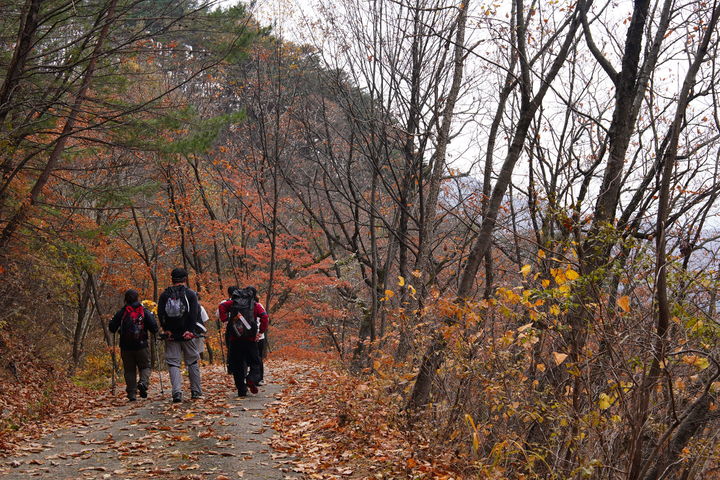 [안동=뉴시스] 동서트레일 트레킹. (사진=경북도 제공) 2026.10.04. photo@newsis.com *재판매 및 DB 금지