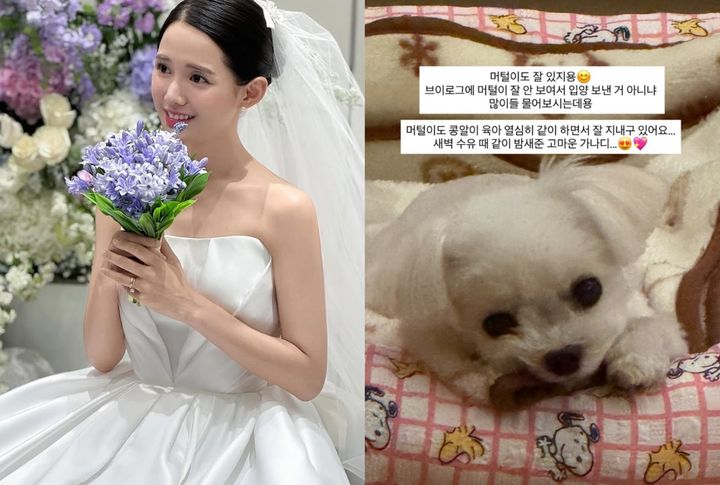 [서울=뉴시스]남보라 (사진= 남보라 SNS 캡처 ) 2026.10.04. photo@newsis.com *재판매 및 DB 금지