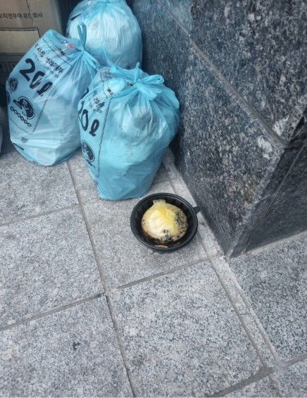 [서울=뉴시스] 한 다세대 건물에서 세입자들이 먹고 남은 음식물과 쓰레기를 방치한 모습이 전해졌다. (사진 출처=스레드 캡처)