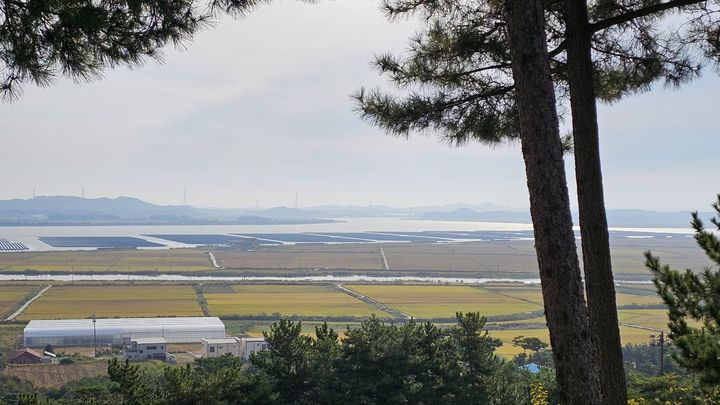 충남권 기온 낮고 바람 강해 쌀쌀…오전 약한 빗방울도