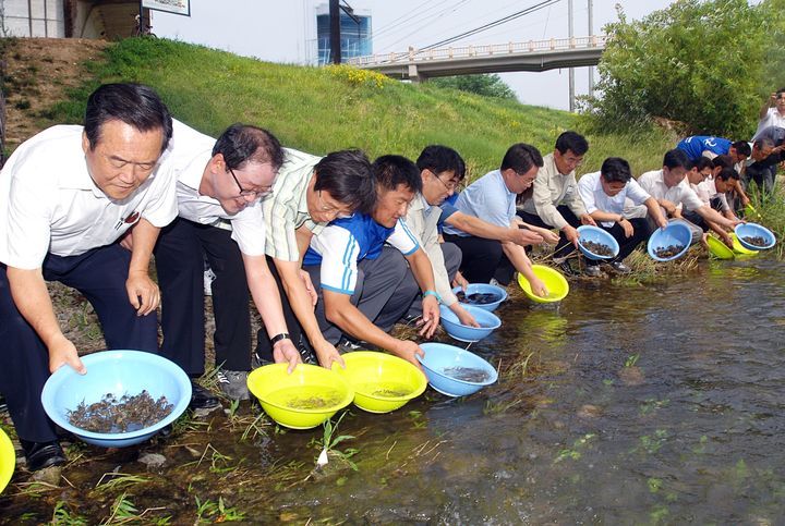 [울산=뉴시스] 지난 2008년 현대자동차 울산공장 환경팀 임직원들과 태화강보존회 회원들이 태화강 하류에서 동남참게와 각시붕어 치어를 방류하는 모습. (사진=현대자동차 제공) photo@newsis.com *재판매 및 DB 금지