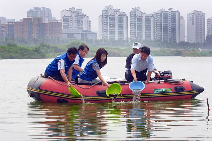 [울산=뉴시스] 지난 2008년 현대자동차 울산공장 환경팀 임직원들과 태화강보존회 회원들이 태화강 하류에서 동남참게와 각시붕어 치어를 방류하는 모습. (사진=현대자동차 제공) photo@newsis.com *재판매 및 DB 금지