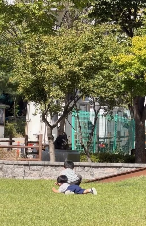[서울=뉴시스] 그룹 신화 출신 에릭의 아내인 배우 나혜미가 두 아들의 일상을 전했다. (사진 = 인스타그램 캡처) 2026.10.06. photo@newsis.com *재판매 및 DB 금지