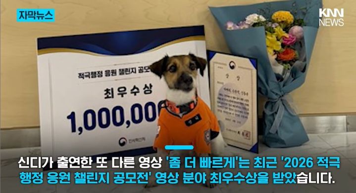 [서울=뉴시스] 심폐소생술 교육 영상에 출연한 반려견 신디가 누적 조회수 약 180만회를 기록하며 화제를 모으고 있다. (사진='KKN NEWS' 캡처)
