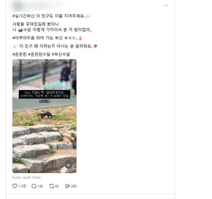 [부산=뉴시스] 부산 온천천에서 수달을 목격했다는 내용의 스레드 게시물. (사진=스레드 캡처) *재판매 및 DB 금지