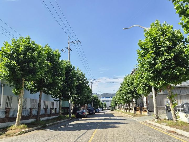 [부산=뉴시스] 부산 강서구가 녹산산업단지 일원의 가로환경 개선을 위해 이달 중순부터 12월 초까지 가로수 수형정비사업을 추진한다. (사진=부산 강서구청 제공) 2026.10.07 photo@newsis.com *재판매 및 DB 금지