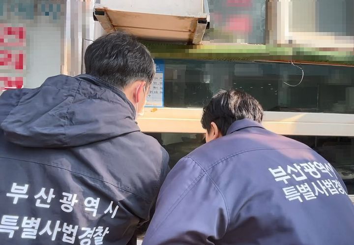 [부산=뉴시스] 부산시 특별사법경찰과는 오는 14일부터 11월13일까지 5주간 대형 행사 대비 음식점 위생·안전 특별 기획수사를 진행한다고 8일 밝혔다. (사진=부산시 특사경 제공) 2026.10.08. photo@newsis.com *재판매 및 DB 금지