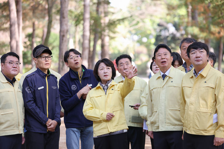 [수원=뉴시스] 추미애 경기도지사가 9일 오전 가평 남이섬을 찾아 관계자들과 소나무재선충병 친환경 방제 현황을 살피고 대책을 논의하고 있다. (사진=경기도 제공) 2026.10.09. photo@newsis.com *재판매 및 DB 금지