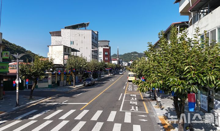 이상기온에 영동 가로수 감 열매도 '뚝'…30% 감소