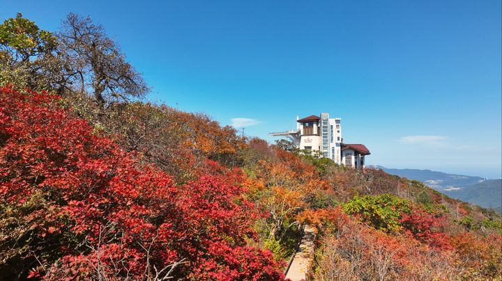 [평창=뉴시스] 이덕화 기자 = 지난 2일 강원도 평창군 대관령면 발왕산에 울긋불긋 오색의 단풍이 곱게 물들어가고 있다. (사진=독자 제공) 2026.10.09. photo@newsis.com *재판매 및 DB 금지