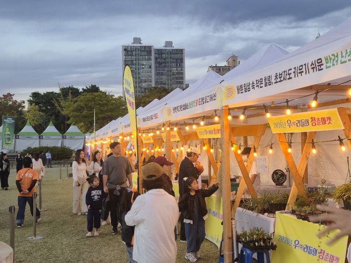 [합천=뉴시스] 우리들의 청춘마켓 성공적 마무리 (사진=합천군 제공) 2026. 10. 12. photo@newsis.com *재판매 및 DB 금지