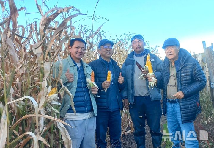[포항=뉴시스] 국제옥수수재단(ICF) 김순권 이사장이 2004년부터 몽골 현지에서 이어온 옥수수 육종 연구가 23년 만에 농가 재배에 성공했다. 아칸(왼쪽부터) 몽골 옥수수협회 대외협력이사, 고재형 ICF 몽골지부장, 다르칸바야르 몽골 옥수수협회 이사·농업인·김순권 국제옥수수재단 이사장이 수확을 앞둔 몽골 옥수수밭에서 기념 촬영하고 있다. (사진=한동대 제공) 2026.10.12. photo@newsis.com