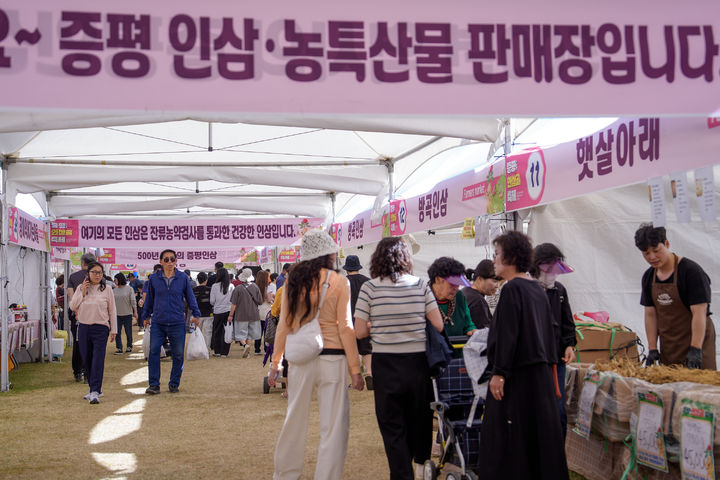 증평인삼골축제 방문객 42만명…"농특산물 판매액 10.5억"