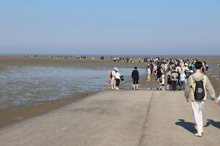 [고창=뉴시스] 지난해 열렸던 고창갯벌 걷기대회 참가자들. *재판매 및 DB 금지
