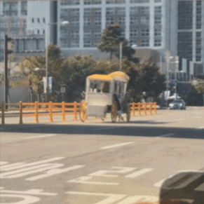 [서울=뉴시스] 경기 고양시 일산서구 도로에서 말이 관광용 마차를 끌고 있다. (영상출처: 스레드 캡처)2026.10.12. 