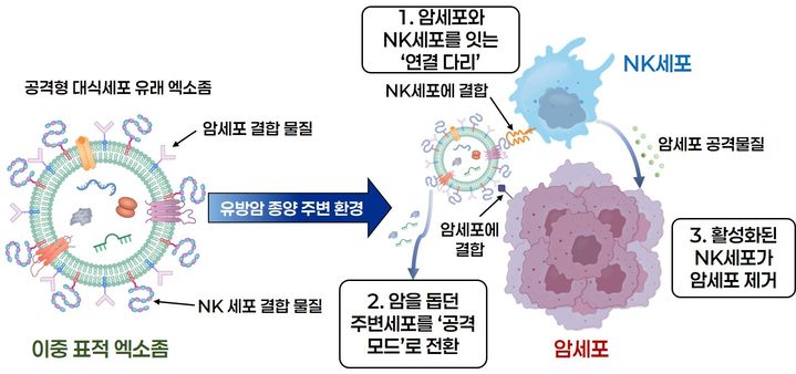 연구 내용 도식도. *재판매 및 DB 금지