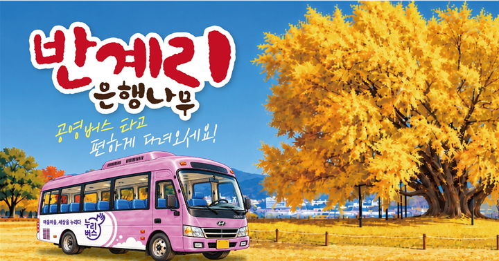원주 반계리 은행나무 공영버스 증차 운행 안내문. *재판매 및 DB 금지
