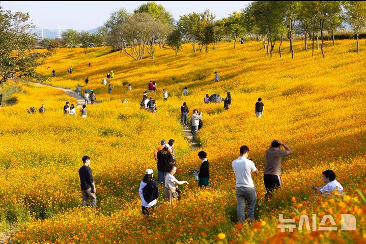 [나주=뉴시스] '2026 나주영산강축제'가 7일부터 11일까지 5일간 총 54만명의 방문객을 불러 모은 가운데 성황리에 막을 내렸다. 사진은 12만평 규모의 꽃단지에서 가족 단위 방문객들이 꽃길을 거닐며 추억을 쌓고 있다. (사진=나주시 제공) photo@newsis.com