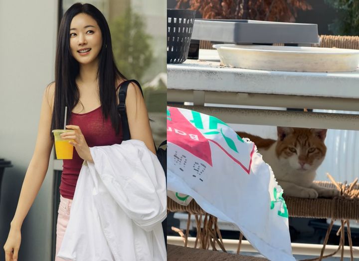 [서울=뉴시스]김사랑(사진=SNS 캡처) 2026.10.13. photo@newsis.com *재판매 및 DB 금지