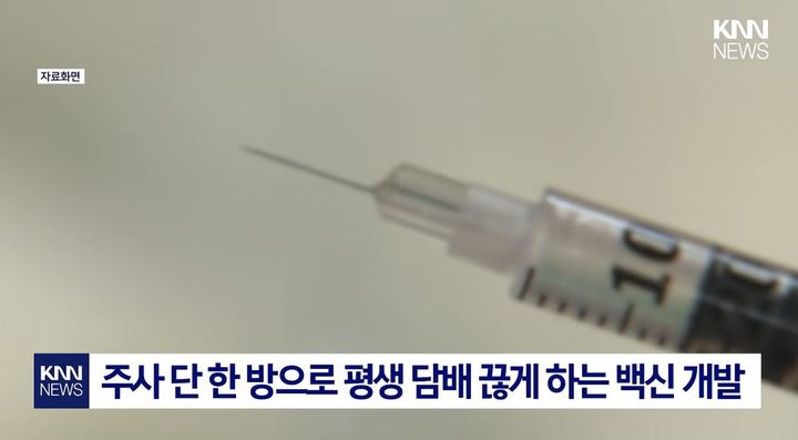 [서울=뉴시스] 주사 한 번으로 담배에 대한 의존도를 낮출 수 있는 금연 백신이 개발되고 있다는 소식이 전해지면서 이목이 집중됐다. (사진=KNN 캡처)