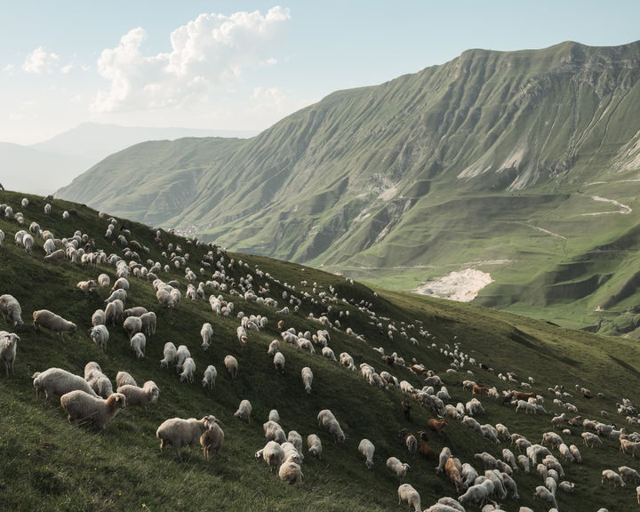 Spring: The sheep’s first grazing season in the mountains, Khunzakh, May 2024. From the series “Preserving Nature as Preserving Ourselves” © Damir Faizulin/LOBA 2026, 사진 제공: 라이카 카메라 코리아] *재판매 및 DB 금지