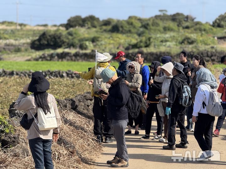 [제주=뉴시스] 제주밭담축제에서 참가자들이 밭담길을 걷고 있다. (사진=제주도 제공) photo@newsis.com