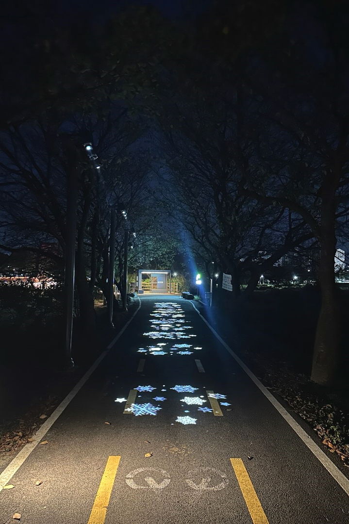 [보은소식]군, 보청천 자전거도로 조명 설치 마무리 등