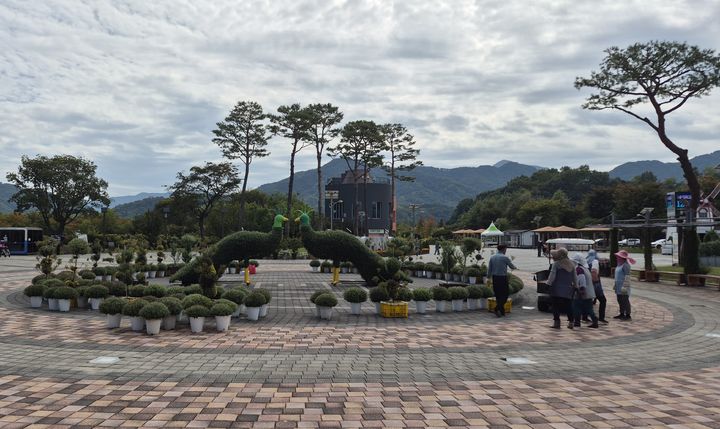 [거창=뉴시스] 거창창포원, 백만송이 가을 국화전시회 앞두고 막바지 단장 (사진=거창군 제공) 2026. 10. 13. photo@newsis.com&nbsp; *재판매 및 DB 금지