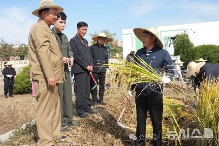 [베이징=뉴시스] 왕야쥔 주북한 중국대사는 대사관 직원 등과 함께 12일 평양시 순안구의 조중우호택암협동농장을 찾아 벼 수확을 지원했다고 주북 중국대사관이 밝혔다.(사진=주북한 중국대사관 위챗 계정 갈무리) 2026.10.13 photo@newsis.com