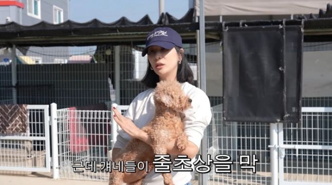고소영 "반려견 5마리 줄초상…한동안 못 키웠다"
