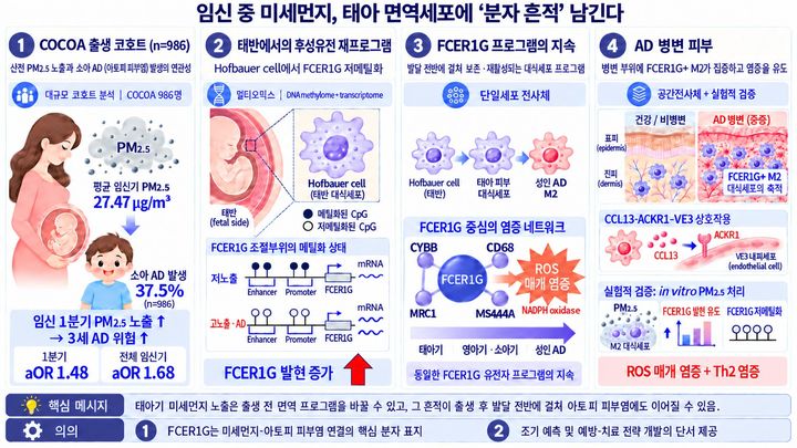 [서울=뉴시스] 임신 초기 초미세먼지 노출이 태아 면역세포의 후성유전적 변화와 알레르기성 염증 반응을 거쳐 아토피피부염 위험과 연결되는 과정을 나타낸 연구 모식도. (사진=경희대 제공) 2026.10.14. photo@newsis.com *재판매 및 DB 금지