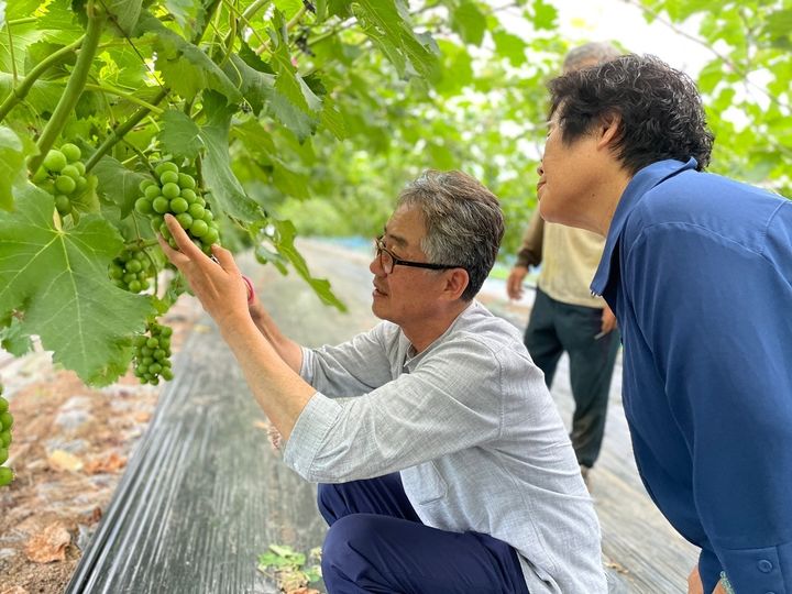 (사진=전북도 농업기술원 제공) *재판매 및 DB 금지