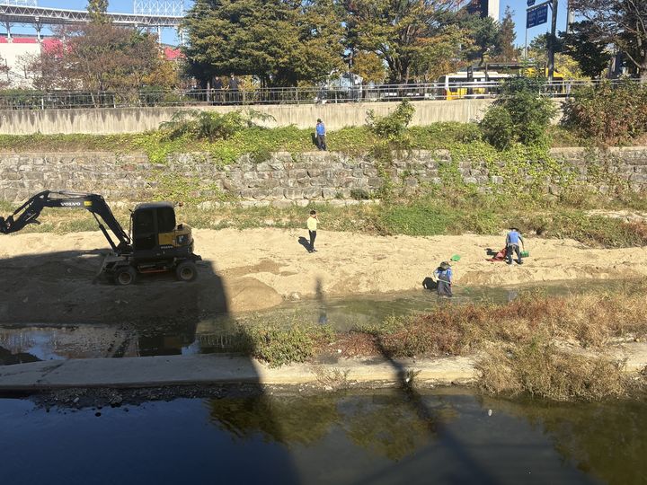 [전남광주=뉴시스] 14일 오전 전남광주 북구 임동 서방천 주변에서 북구 직원들이 폐사한 물고기를 수거하고 있다. (사진 = 전남광주 북구 제공) 2026.10.14. photo@newsis.com *재판매 및 DB 금지