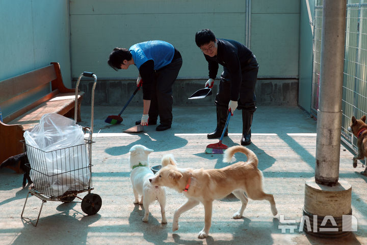 유기동물 보호소 청소 봉사