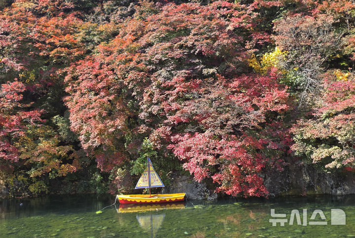 [태백=뉴시스] 홍춘봉 기자 =토요일인 17일은 단풍철을 맞아 나들이 차량이 몰리면서 고속도로 교통량이 지난주보다 늘어 혼잡하겠다. 사진은 제15회 철암단풍축제를 하루 앞둔 지난 15일 강원 태백시 철암동 철암초등학교 인근 단풍군락지 일대가 붉게 물들어 있다.2026.10.15.casinohong@newsis.com 