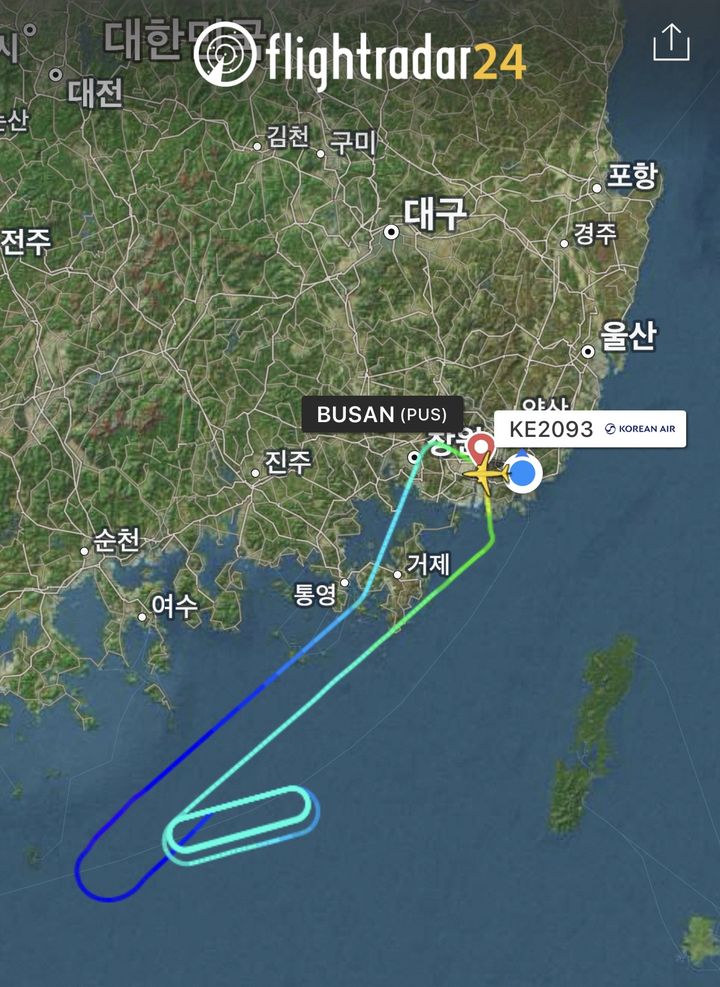 [부산=뉴시스]김해공항을 출발한 다낭행 대한항공 KE2093편에서 이륙 후 엔진계통 이상 신호가 발생해 김해공항으로 회항했다. 해당 항공편 항적도. (사진=플라이트레이더 24 캡처) 2026.10.15. photo@newsis.com *재판매 및 DB 금지