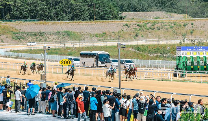 '렛츠런파크 영천' 개장 한달…가족단위 등 4만여명 왔다