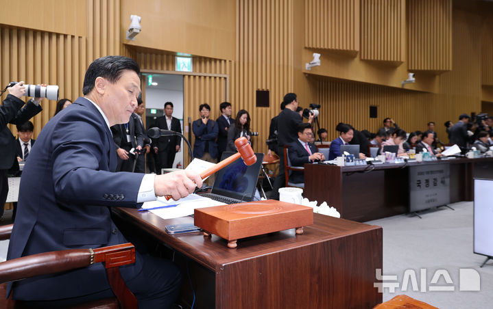 의사봉 두드리는 김영진 국회 행안위원장