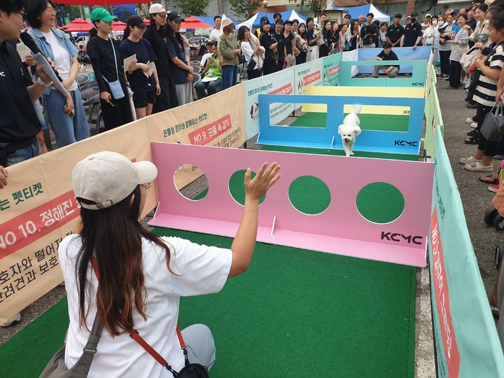 [서울=뉴시스] 2025년 금천구 반려동물 축제 모습. (사진=금천구 제공) photo@newsis.com *재판매 및 DB 금지