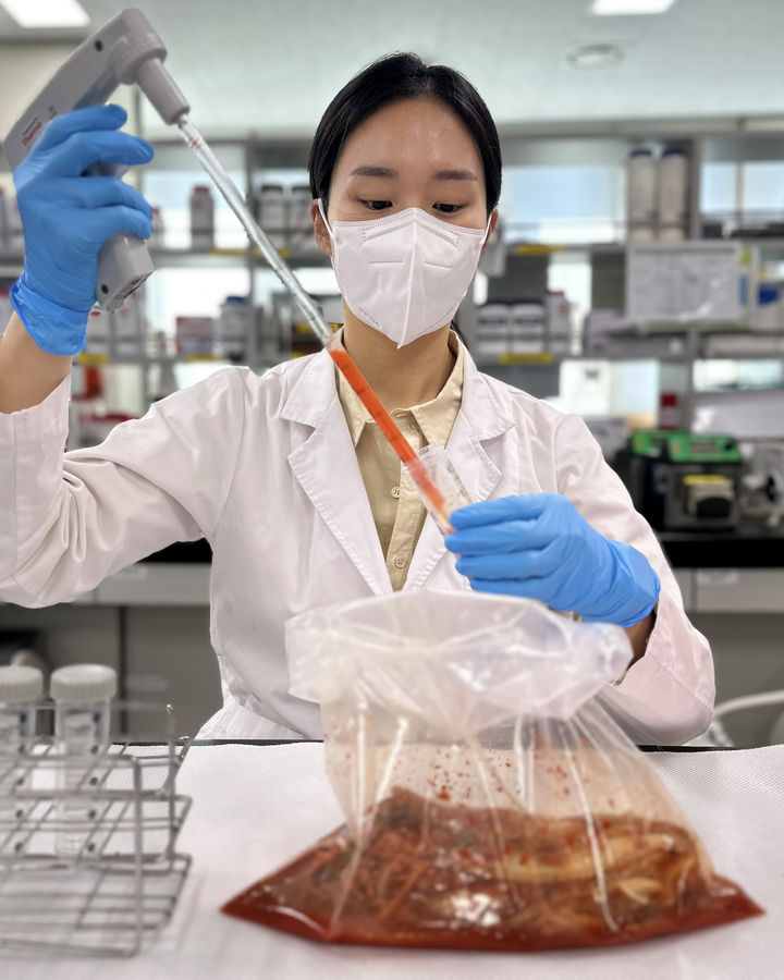 [전남광주=뉴시스] 전남광주통합특별시 전남보건환경연구원, 김장철 노로바이러스 검사 강화. (사진=전남보건환경연구원 제공). photo@newsis.com *재판매 및 DB 금지