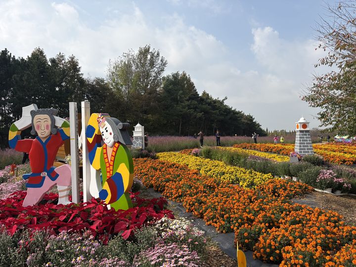 (인천=뉴시스) 나지현 인턴기자=16일 인천 드림파크 국화축제에 국화, 핑크뮬리 등 다양한 가을꽃으로 이뤄진 꽃밭이 펼쳐져 있다. 2026.10.18. *재판매 및 DB 금지
