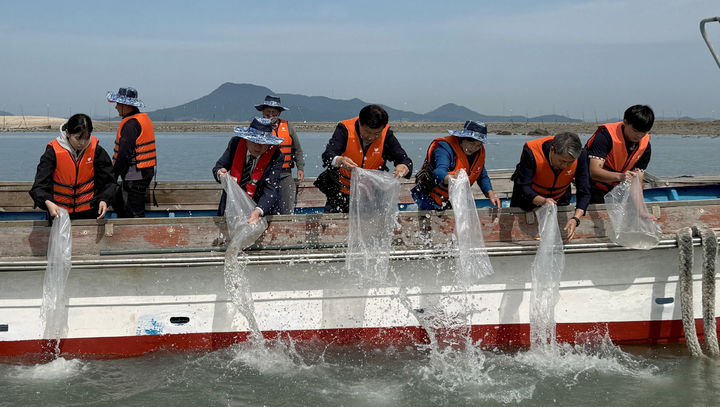 [전남광주=뉴시스] = 전남광주통합특별시 해양수산과학원 낙지 4만 마리 방류. (사진=전남광주특별시청 제공). photo@newsis.com *재판매 및 DB 금지