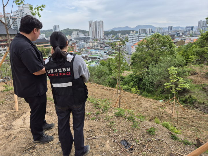 [진주=뉴시스]진주시, ‘가을철 산림 내 불법행위 집중단속’ 실시.(사진=진주시 제공).2026.10.18.photo@newsis.com *재판매 및 DB 금지