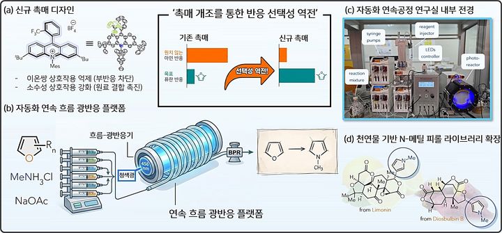 [대전=뉴시스] KAIST 화학과 박윤수 교수팀이 로봇과 빛을 활용해 원료 배합부터 합성·분석까지 자동으로 수행하는 '무인 합성 플랫폼'을 개발해 다양한 신약 후보물질을 효율적으로 확보할 수 있게 됐다. 사진은 연구 개요도.(사진=KAIST 제공) *재판매 및 DB 금지