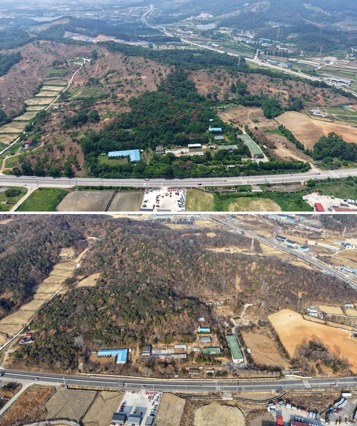 [정읍=뉴시스] 정읍 소성면 주천리 일원 산림으로 재선충에 감염된 상태(위)의 산림과 이후 방제작업이 완료된 상태(아래)를 대비한 모습이다. *재판매 및 DB 금지