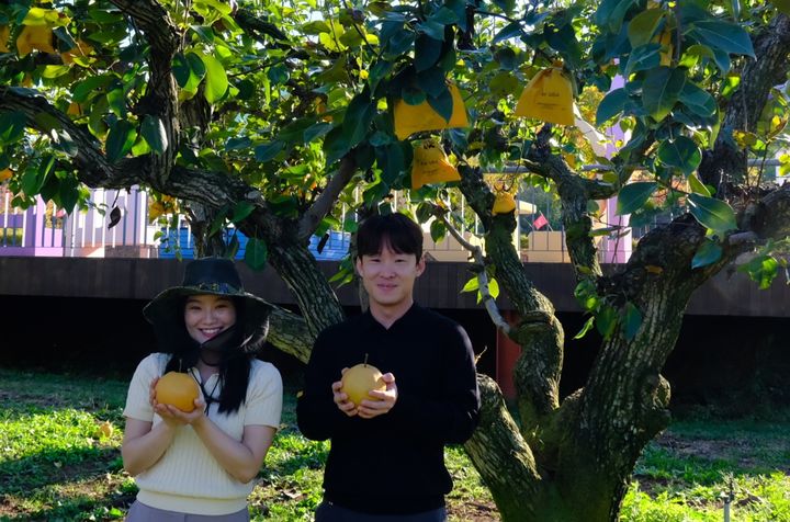영동 백년배(사진=영동군 제공) *재판매 및 DB 금지