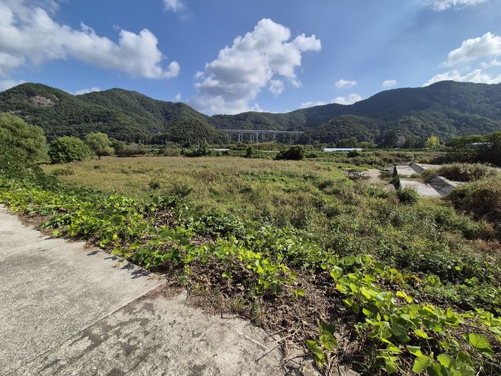 [세종=뉴시스]전주천 상죽음보. (사진= 기후부 제공) *재판매 및 DB 금지