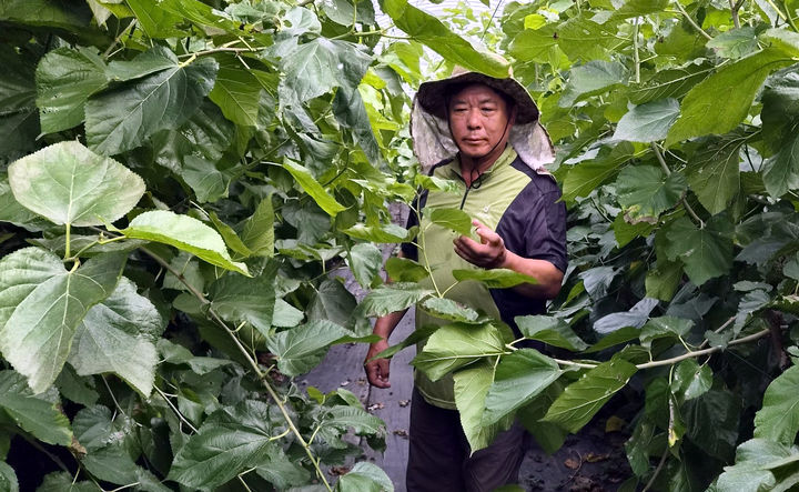 [해남=뉴시스] 전남광주 해남군의 '명랑농원' 박성관 대표. (사진=전남광주시 제공) 2026.10.19. photo@newsis.com *재판매 및 DB 금지